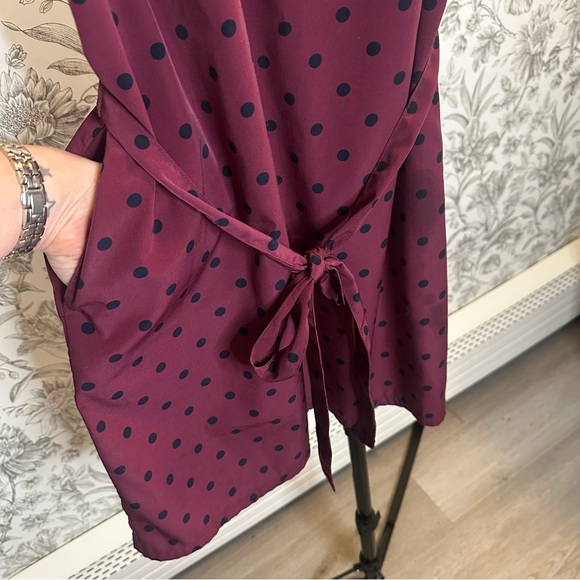 Banana Republic Maroon and Black Dot Mini Dress - Picture 8 of 9